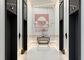 Подъем лифта пассажира ФУДЗИ с человеком 6 для пассажира Китая поднимает фабрику