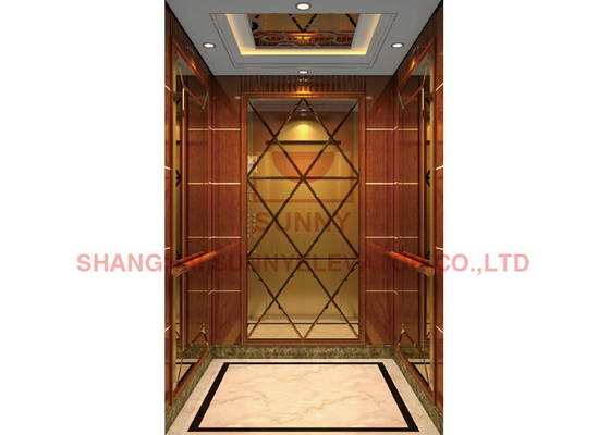 подъем лифта виллы жилых домашних лифтов глубины ямы 500mm роскошный