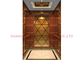 подъем лифта виллы жилых домашних лифтов глубины ямы 500mm роскошный