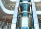 Панорамная осмотр достопримечательностей машина ФУДЗИ подъема лифта двойная низкоскоростная