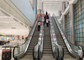 Эскалатор тротуаров аэропорта ширины метро 800mm двигая 35 градусов
