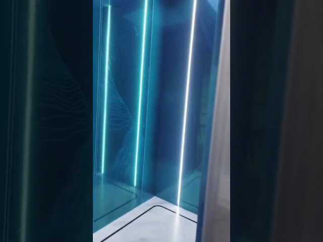 Лифт нержавеющей стали системы управления рулем высоты SUS304 VVVF жилой для дома