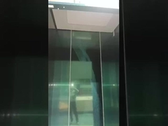 Пассажирские личные виллы Лифты 3-го этажа Внешний Внутренний Лифт